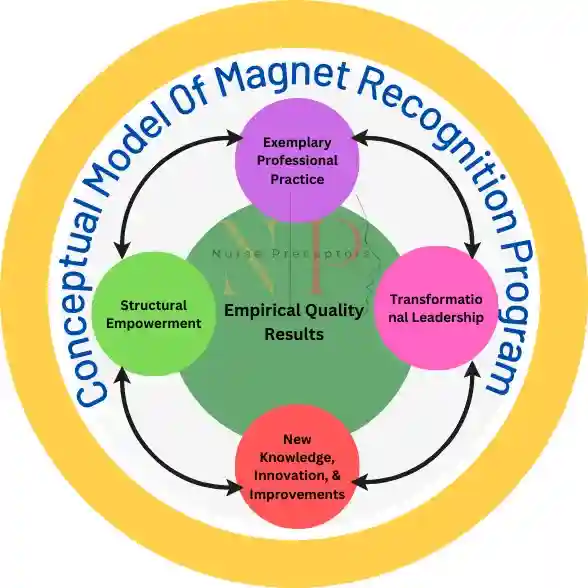 Conceptual model of magnet program