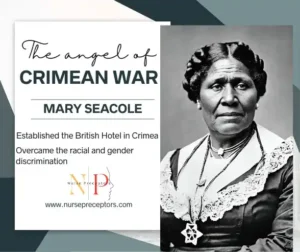 imaginary picture of Mary-Seacole