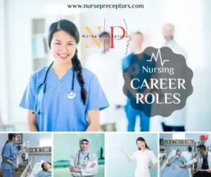 nursing career roles