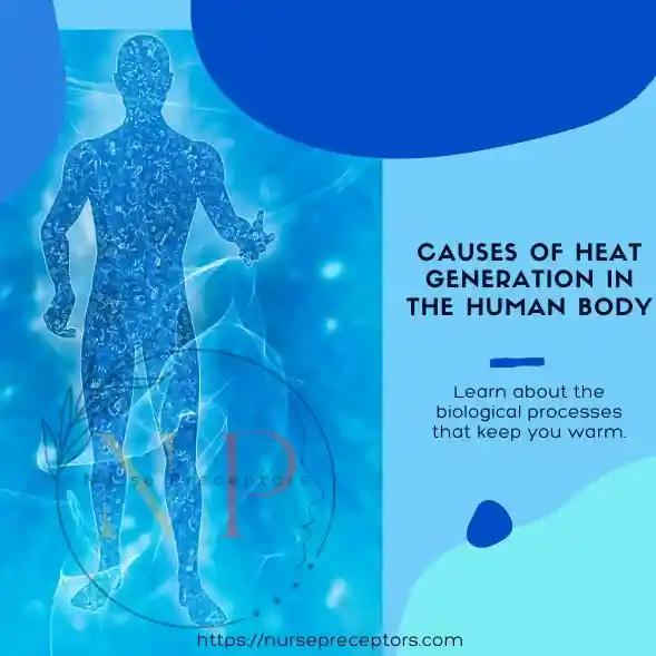 blue coloured diagram of human body
