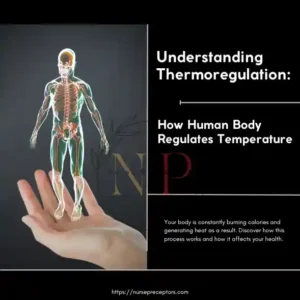 transparent structure of human body standing on a hand