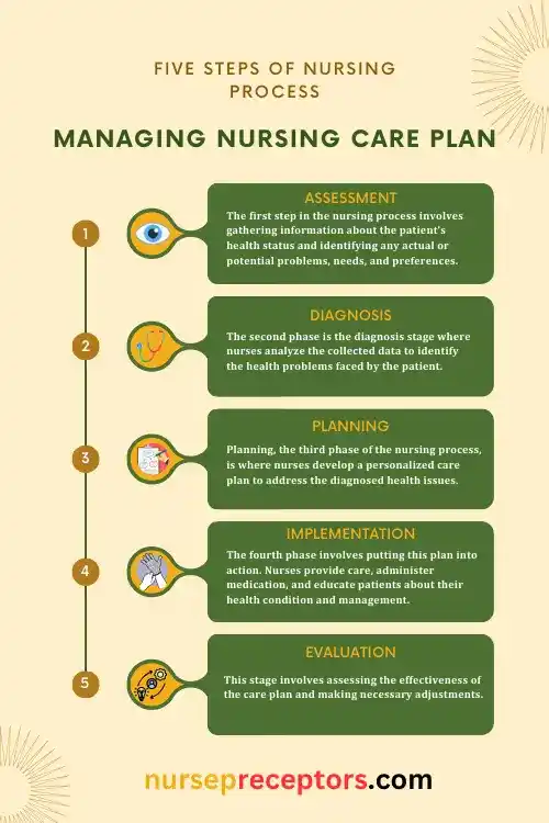 five steps of nursing process