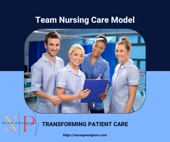 nursing care delivery system