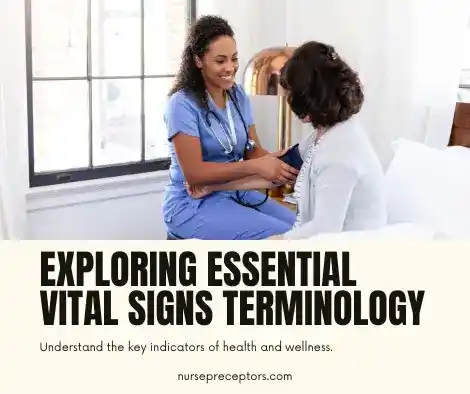 4 Main Vital Signs | Important Terminology For Professionals