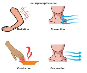 Heat Loss - Nurse Preceptors