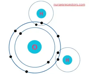 Compounds Diagram - Nurse Preceptors